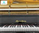 Thân đàn Bernstein BU550DE được làm từ gỗ vân sam châu Âu chọn lọc