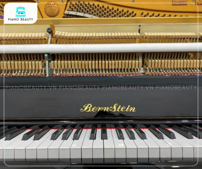 Thân đàn Bernstein BU550DE được làm từ gỗ vân sam châu Âu chọn lọc