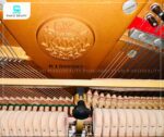 Búa đàn chắc chắn và bền bỉ của đàn piano Kawai KS5F