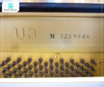 Trục giữ dây đàn cao cấp của đàn piano Yamaha U3M
