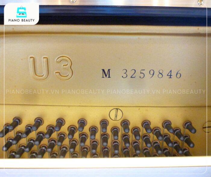 Trục giữ dây đàn cao cấp của đàn piano Yamaha U3M