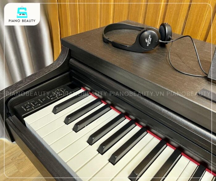 BOWMAN CX-230 phù hợp cho việc học và luyện tập