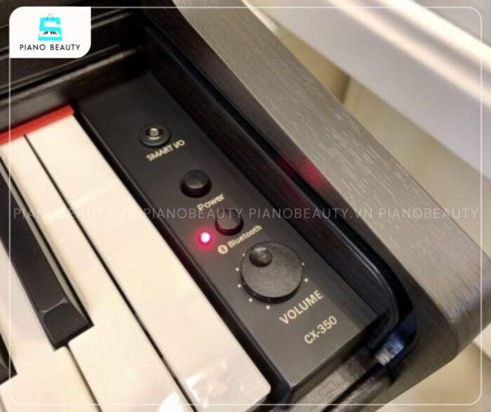 BOWMAN CX-350 có âm thanh chân thực của nhiều nhạc cụ