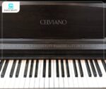 Piano điện Casio AP26 sở hữu bàn phím được thiết kế nhằm mục đích mô phỏng chân thực cảm giác phím của đàn piano cơ truyền thống