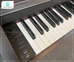 Casio AP400 phù hợp với học tập, luyện tập và biểu diễn