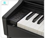Casio AP470 phù hợp cho học tập, luyện tập và biểu diễn