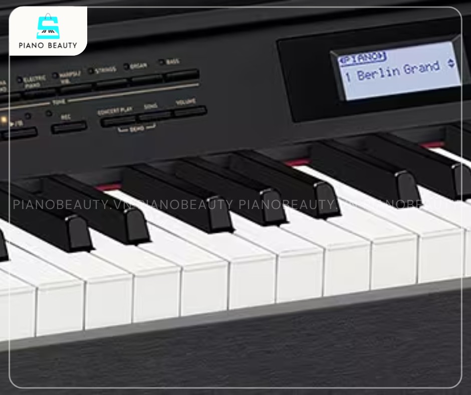 Piano điện Casio AP710 88 phím Scaled Hammer Action phản hồi nhanh