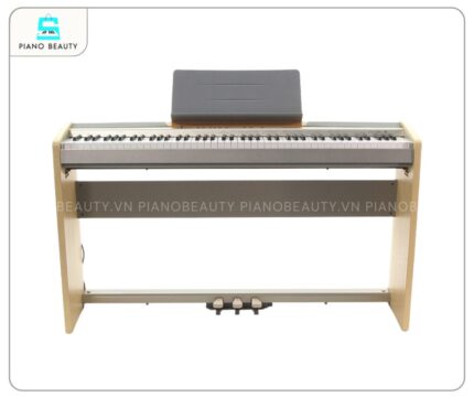 Piano Điện Casio PX120 là cây đàn piano điện di động lý tưởng, dễ dàng mang theo khi di chuyển