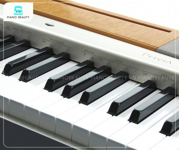 Piano Điện Casio PX120 là một trong những cây đàn piano điện nhẹ nhất trên thị trường