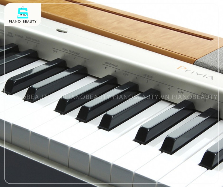 Piano Điện Casio PX120 là một trong những cây đàn piano điện nhẹ nhất trên thị trường