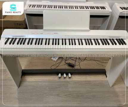 Piano Điện Casio PX160 là một cây đàn piano điện phổ biến, thuộc series Privia