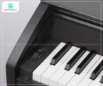 Piano điện Casio PX780 trang bị bàn phím Scaled Hammer Action II