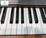 Casio PX800 được trang bị 88 phím cảm ứng tự nhiên