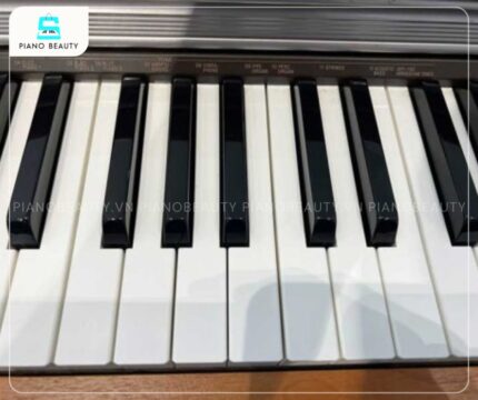 Casio PX800 được trang bị 88 phím cảm ứng tự nhiên