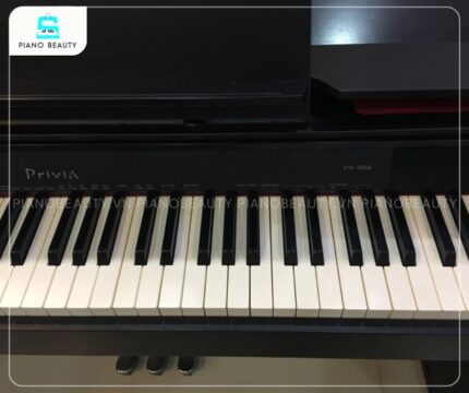 Casio PX850 trang bị 88 phím nặng mô phỏng gỗ mun