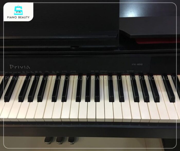 Casio PX850 trang bị 88 phím nặng mô phỏng gỗ mun