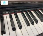 Piano điện Casio PX870 bàn phím Tri-Sensor Scaled Hammer Action II