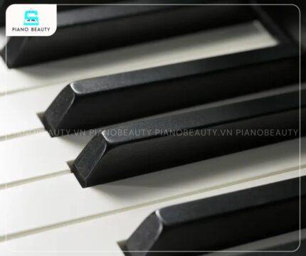 Đàn piano Kawai CA67R phím gỗ Grand Feel II bền bỉ