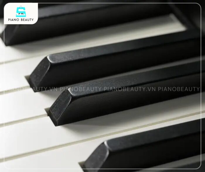 Đàn piano Kawai CA67R phím gỗ Grand Feel II bền bỉ