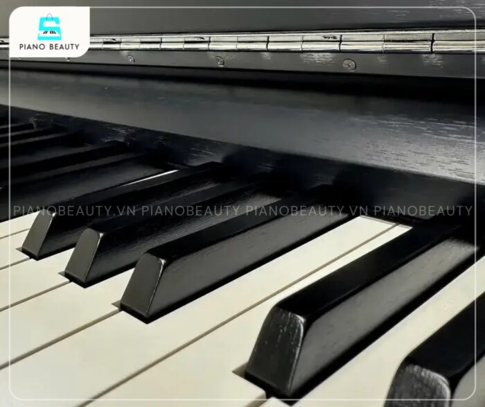 Piano Điện Kawai CA901 R mang đến trải nghiệm grand piano chân thực với bàn phím gỗ Grand Feel III