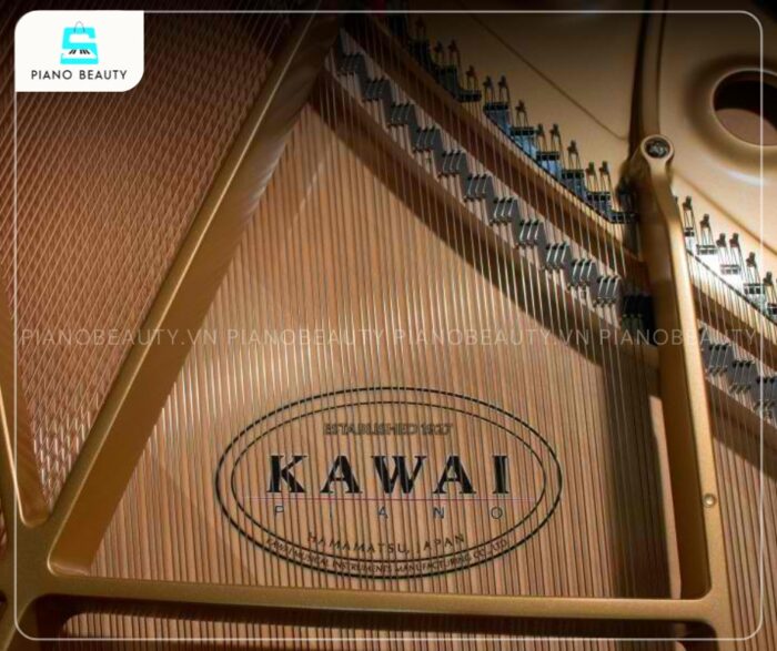 Piano Điện Kawai CA97B tái tạo âm thanh cộng hưởng tự nhiên đặc trưng của đàn piano acoustic
