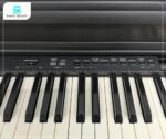 Piano Điện Kawai CN33B là mẫu piano điện tầm trung với âm thanh chân thực