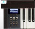 Piano Điện Kawai CN37 R sử dụng bàn phím Responsive Hammer III (RHIII)