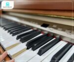 Piano điện Kawai L5 tích hợp nhiều tính năng luyện tập tiện lợi
