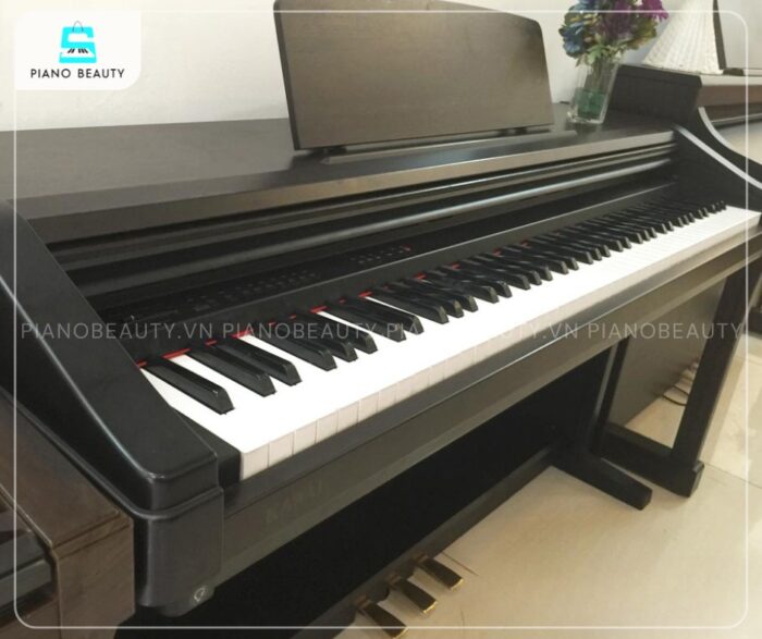Piano điện Kawai PN220 có nhiều chế độ hỗ trợ luyện tập