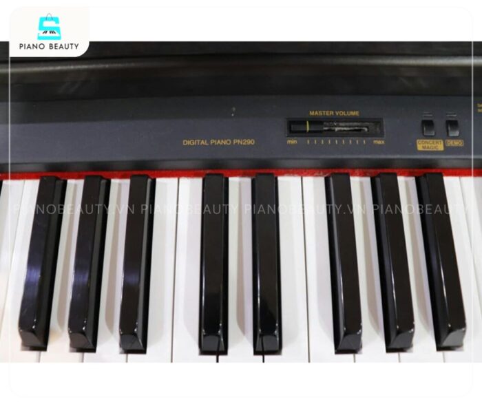 Piano điện Kawai PN290 được trang bị bàn phím 88 phím nặng, mô phỏng cơ chế búa đàn của đàn piano cơ truyền thống