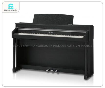 Piano điện Kawai PN290 có kích thước tiêu chuẩn, không quá cồng kềnh mà vẫn đảm bảo sự chắc chắn