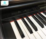 Piano điện Kawai PW810 bàn phím cảm ứng lực mượt mà
