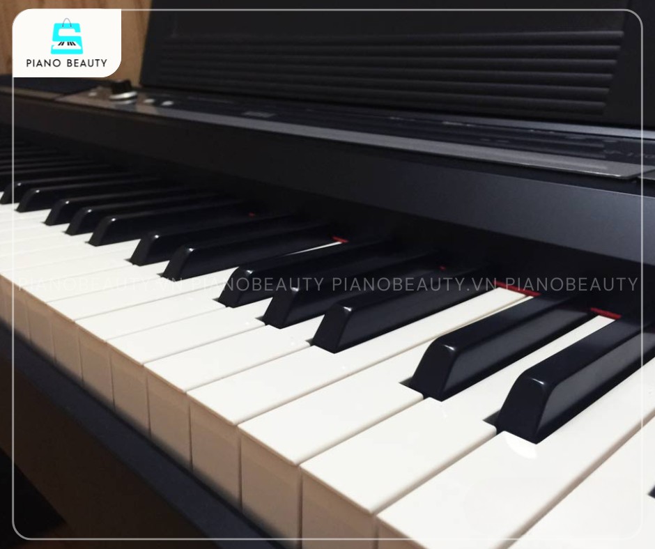 Đàn piano Korg SP170 88 phím cảm ứng lực phản hồi tốt