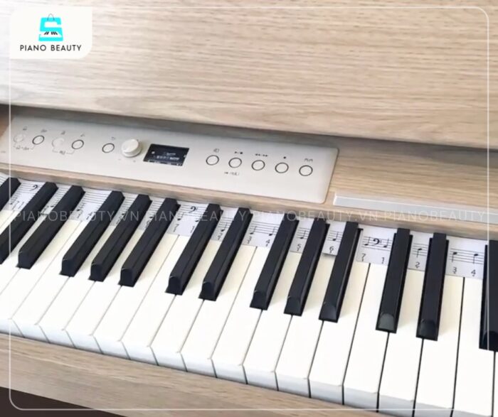 Piano điện Roland F701 với độ nhạy vượt trội của bàn phím cho phép nghệ sĩ thể hiện mọi sắc thái âm nhạc một cách tinh tế