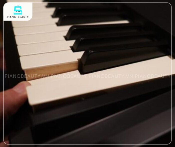 Piano điện Roland F90 trang bị bàn phím Hammer Action