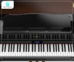 Piano điện Roland GP607 PE bàn phím PHA-50 phản hồi tốt