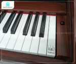 Đàn Piano Yamaha CLP240M bàn phím GH3