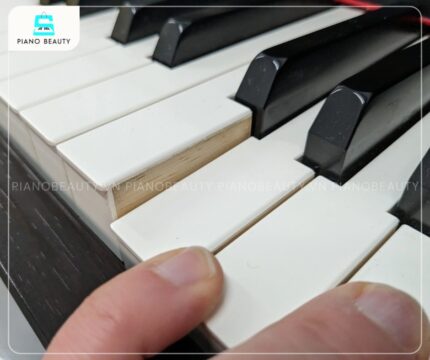 Bàn phím phím GH3 cảm ứng ngà voi của piano Yamaha CLP370
