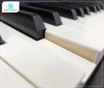 Piano điện Yamaha CLP545 bàn phím Natural Wood X nhạy bén