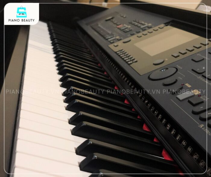 Piano điện Yamaha CVP305 trang bị bàn phím NWX bền bỉ