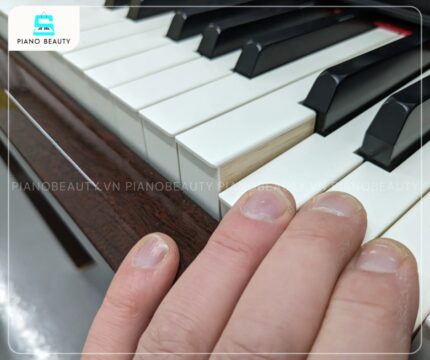 Piano điện Yamaha CVP509 với bàn phím NWX cao cấp