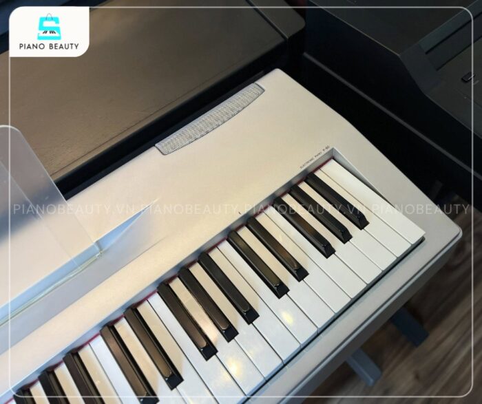 Piano điện Yamaha P60 màu sắc thanh lịch phù hợp nhiều không gian