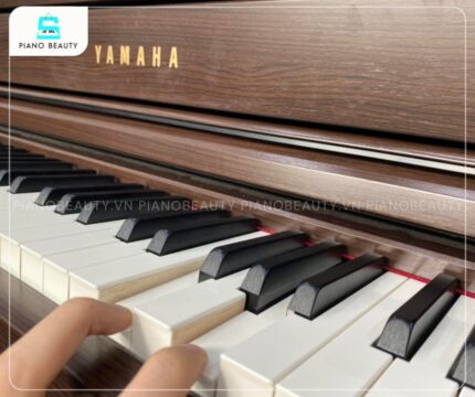 Đàn Piano Yamaha SCLP-6450 bàn phím NWX gỗ tự nhiên cảm ứng chân thực